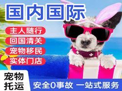 合肥新桥机场空运国际宠物托运 【国